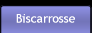 Biscarrosse